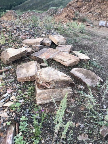 Плитняк кора дерева 50-100мм для пошаговых дорожек купить в Красноуфимске